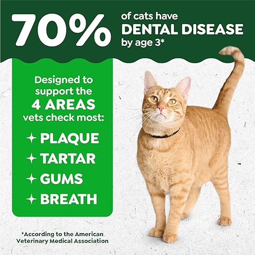 Miniatura 3 de Greenies Golosinas dentales naturales para gatos adultos recomendadas por veterinarios felinos, sabroso sabor a salmón, bolsa de 2.1 onzas