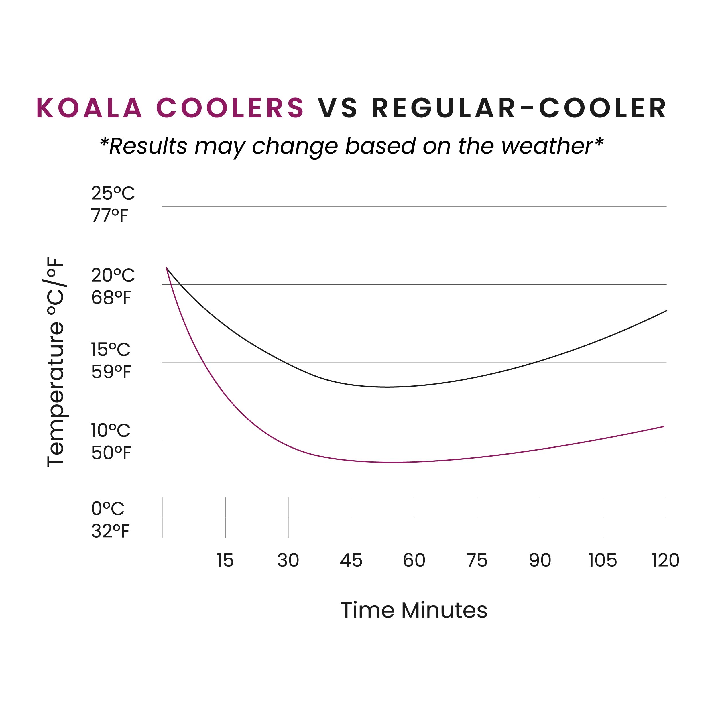 Koala Spain Enfriador de Vino con Gel Rápido Enfriamiento Compartimentado, 4 Capas Anti-condensación, Color Negro, Velcro Ajustable Bot. Vino o Cava, Incluye Regalo Lámina Antigoteo