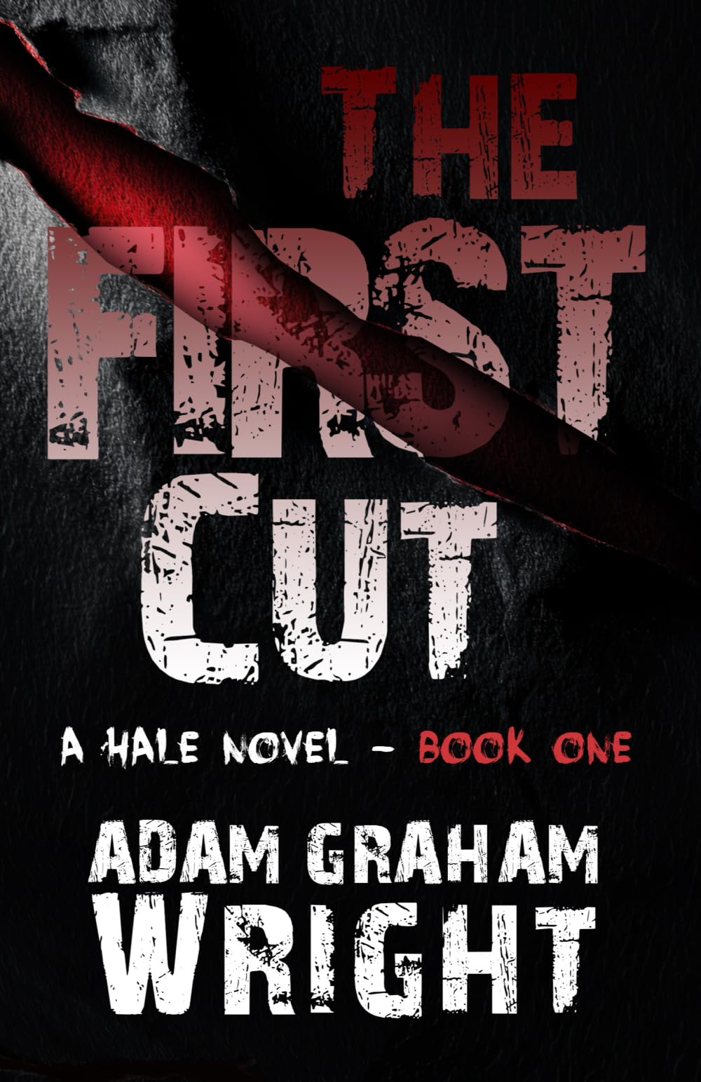 The First Cut: A Hale Novel - Book One (The Dan Hale Series)