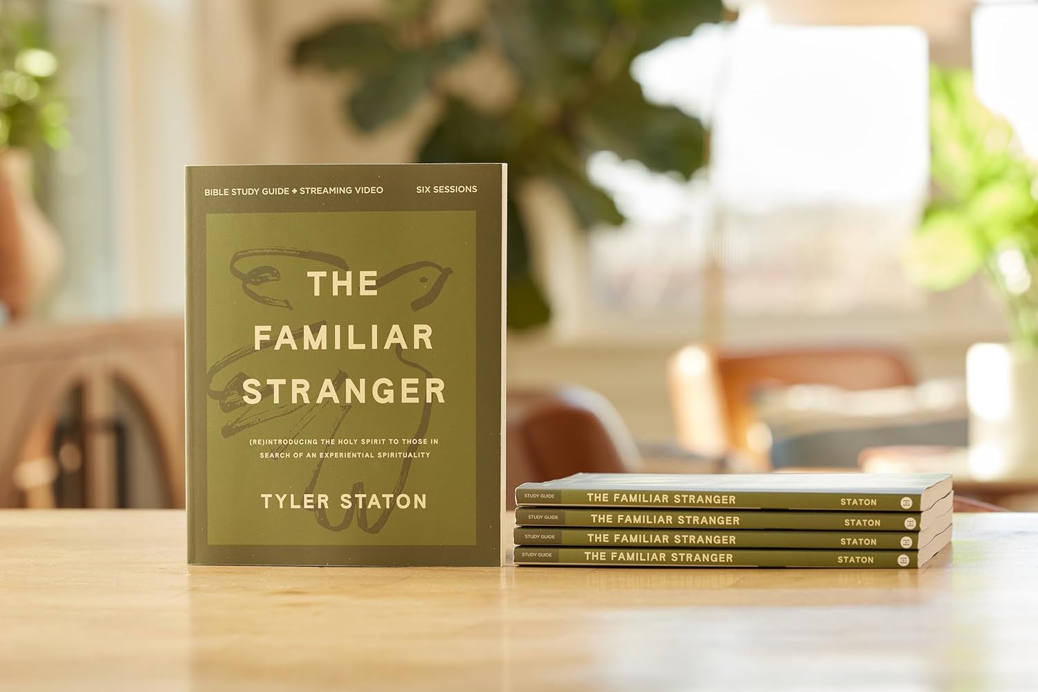 The Familiar Stranger Bible Study Guide plus Streaming Video: (Re)introducing the Holy Spirit to Those in Search of an Experiential Spirituality - Image 3