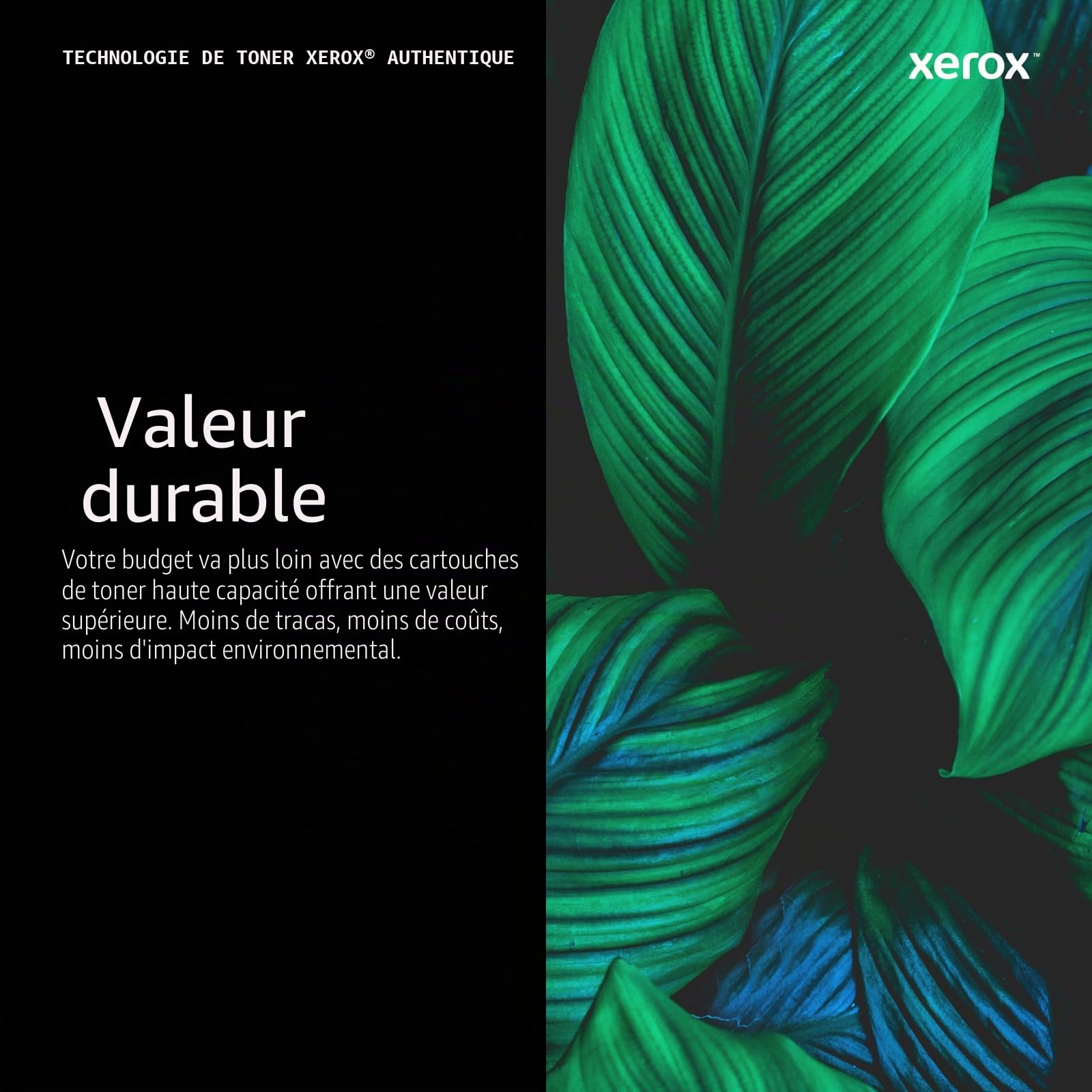 Xerox Cartouche de Toner d'Origine C320 / C325 Noir Capacité Standard (2,200 pages) - 006R04823