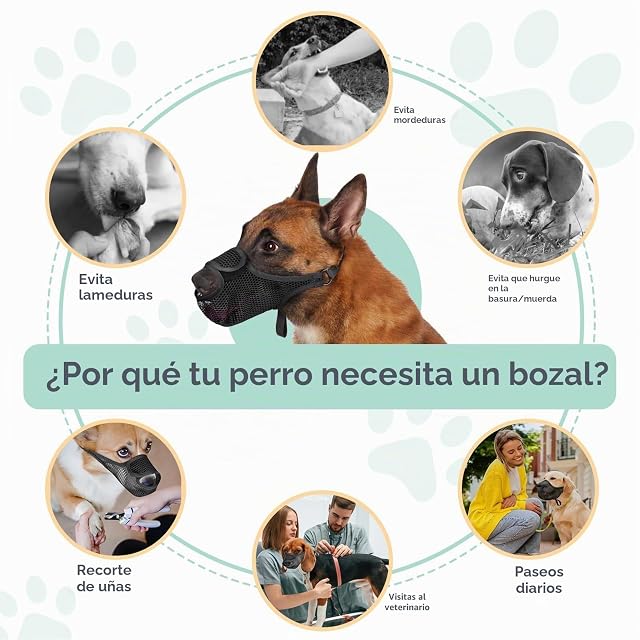 Foto 6 de 6 de ZYEKIU Bozal Perro Bozal Perro Mediano Nylon Bozales para Perros Ajustable