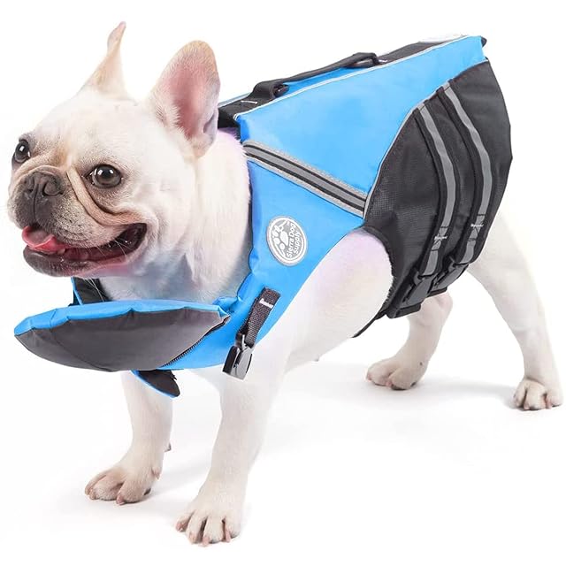 Petglad Chaleco Salvavidas Bulldog francés con Flotador de Barbilla para