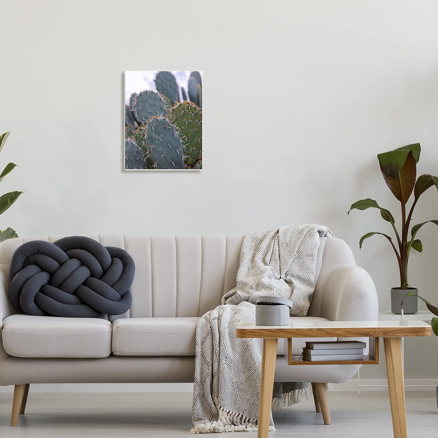 'Prickly Cactus Thorns Close Up Photography'| Wall Plaque Art | Stupell Industries | 13 x 19 Inches, Easy to Hang and Sturdy, Made in USA, by Jeff Poe Photography