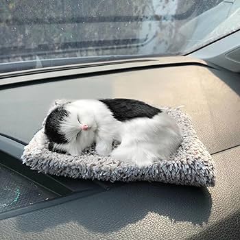 Amazon.co.jp: Whxqvui リアルな毛皮で寝ている赤ちゃん猫