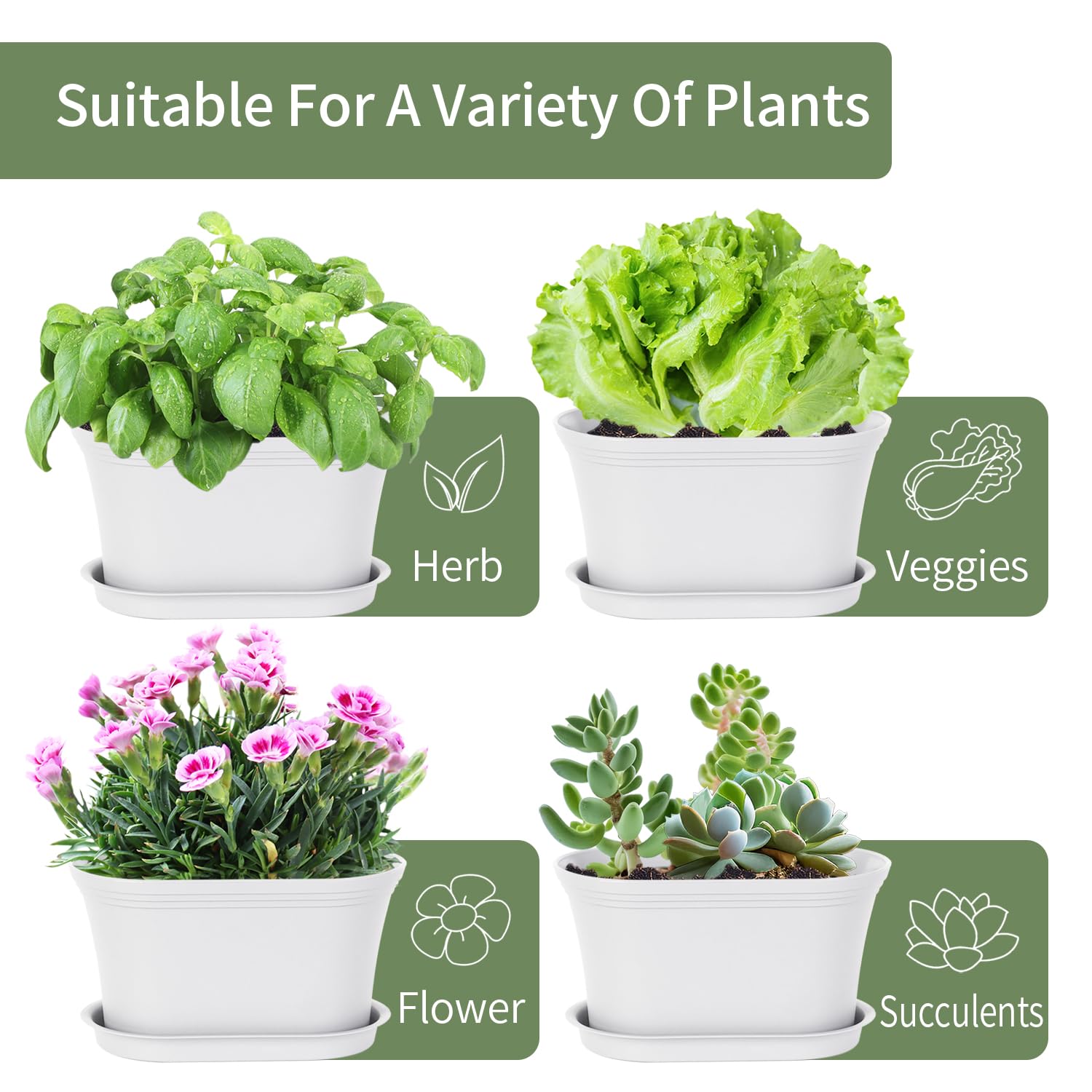 Oliz Lot De 8 Mini Pots De Fleurs Pour Plantes Succulentes, Cactus Et Plantes Grasses D'intérieur Et D'extérieur Avec Plateau Pour Décoration De