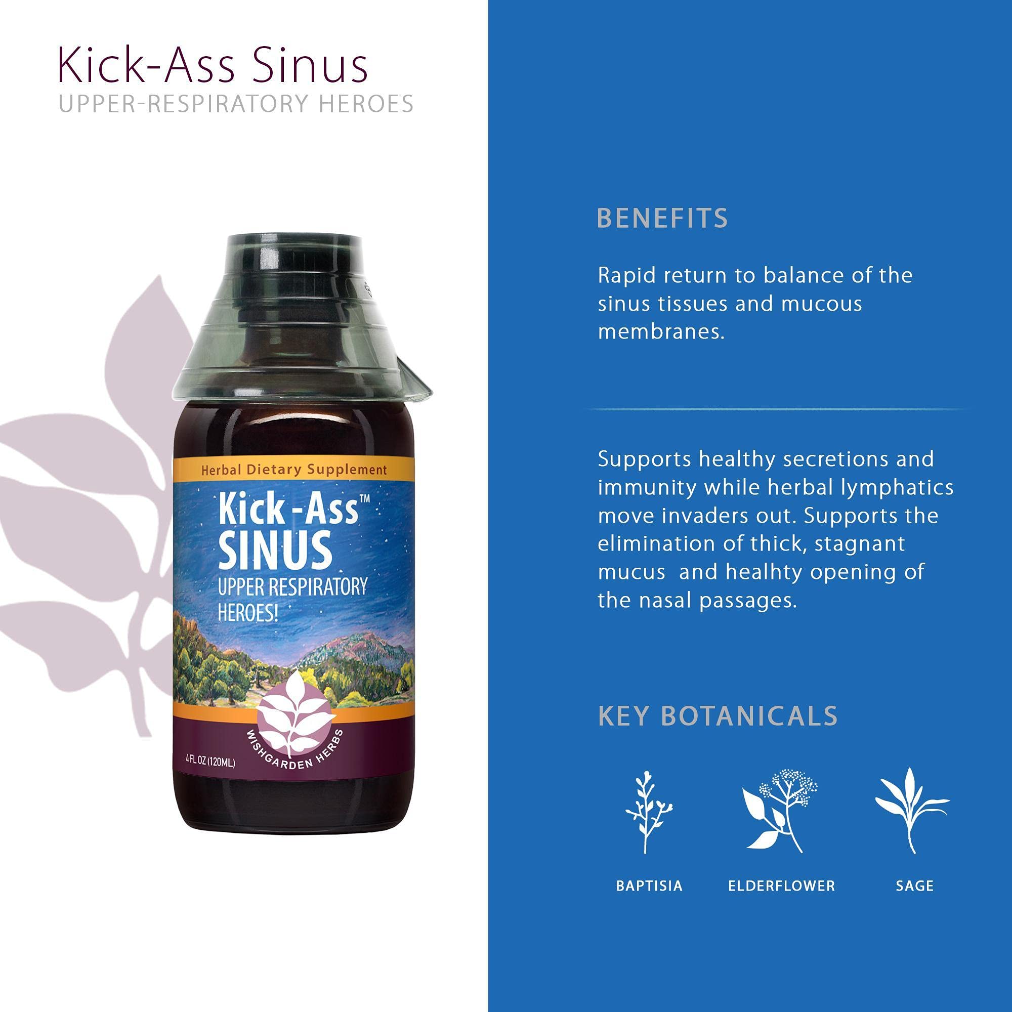 Buy WishGarden Herbs KickAss Sinus Organic Herbal Sinus Relief