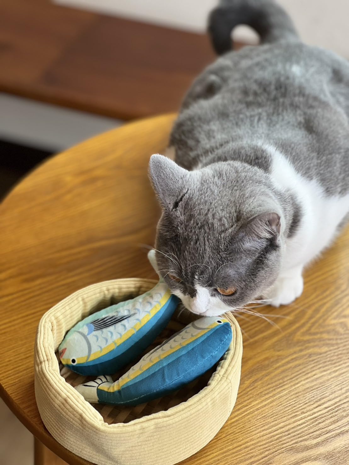 Ohmypet Cat Toys Thai Mackerel Fish 2 Pcs in Basket Catnip Crinkle Paper Sound Toys Interactive Catnip Filled Pet Toys