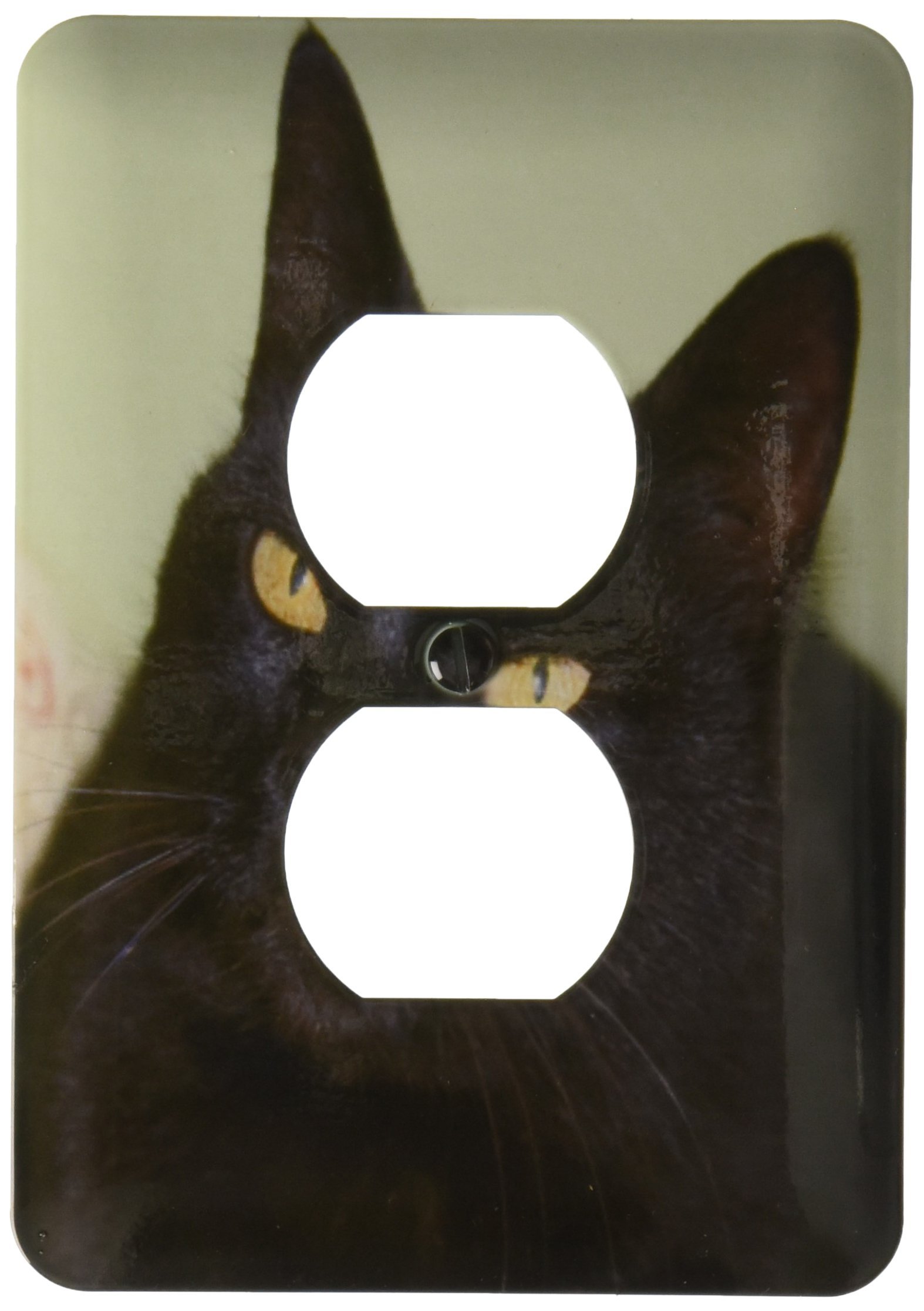 Masquer prise murale usée avec ce cache double chat noir décoration murale salon originale