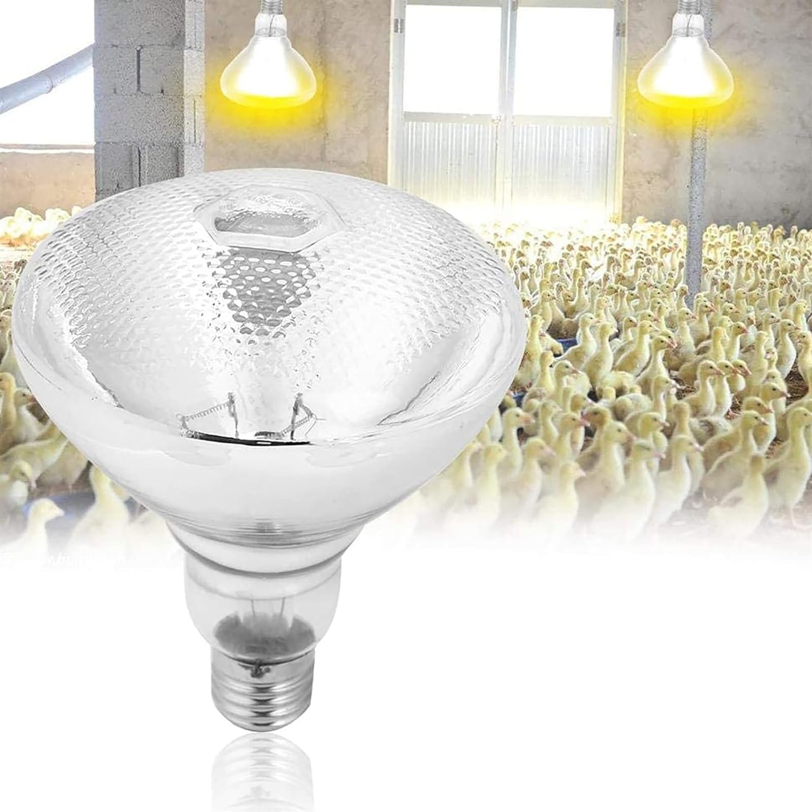 Lampada Riscaldante In Vetro A Infrarossi, Luce Anti-Esplosione Impermeabile, Riscaldamento Bianco Addensato E27 Lampadine Riscaldanti for Riscaldatore for Animali Domestici Pollo Lucertola Tartaruga