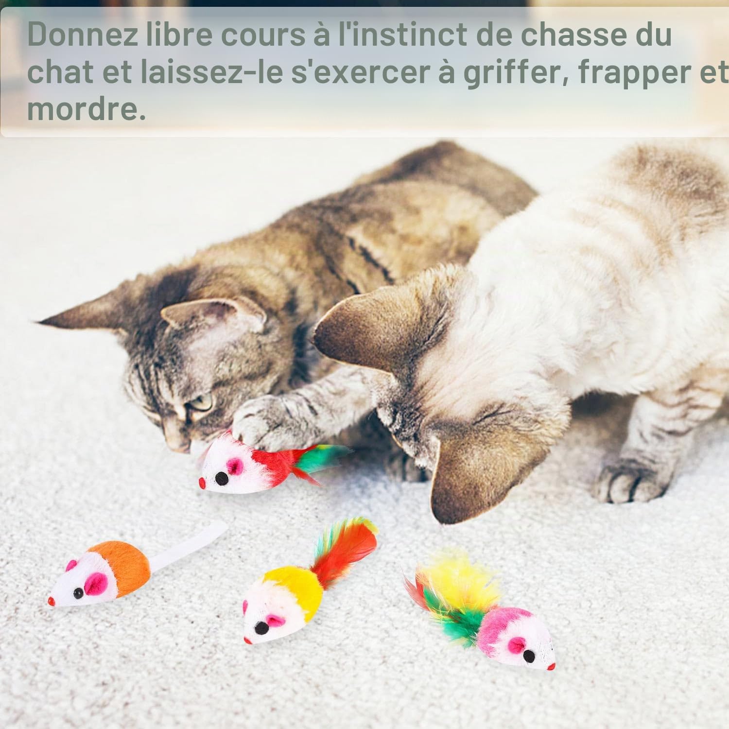 10 Pièces Chat Souris Jouet Chat Interieur avec Hochet Sons Convient Aux Chats pour Jouer(Couleur Aléatoire)