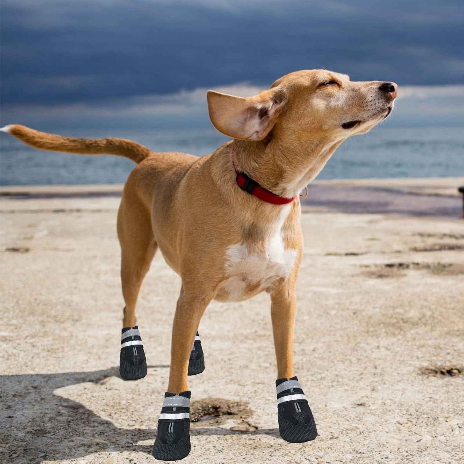 Scarpe per Cani, Set di 4 Stivali per Cani Impermeabile, Scarpe Cane con Cinturini Riflettenti e Suola Antiscivolo per Protezione Le Zampe per Cani (Nero, XL)