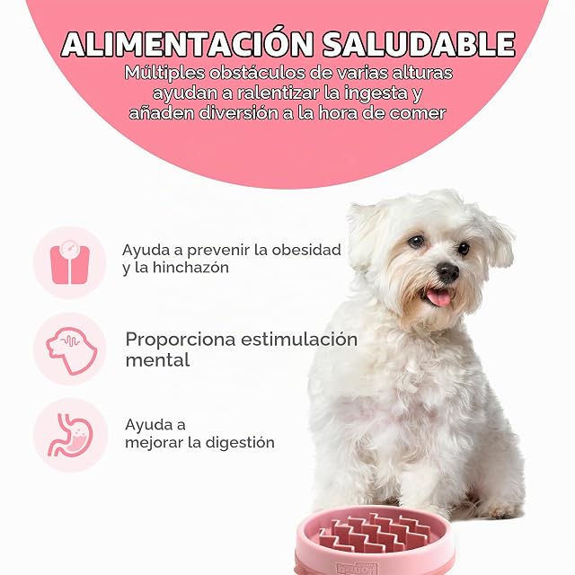 Foto 2 de 7 de Outward Hound Fun Feeder Slo-Bowl - Comedero con obstáculos para Perros - Rosa - Pequeño/extrapequeño