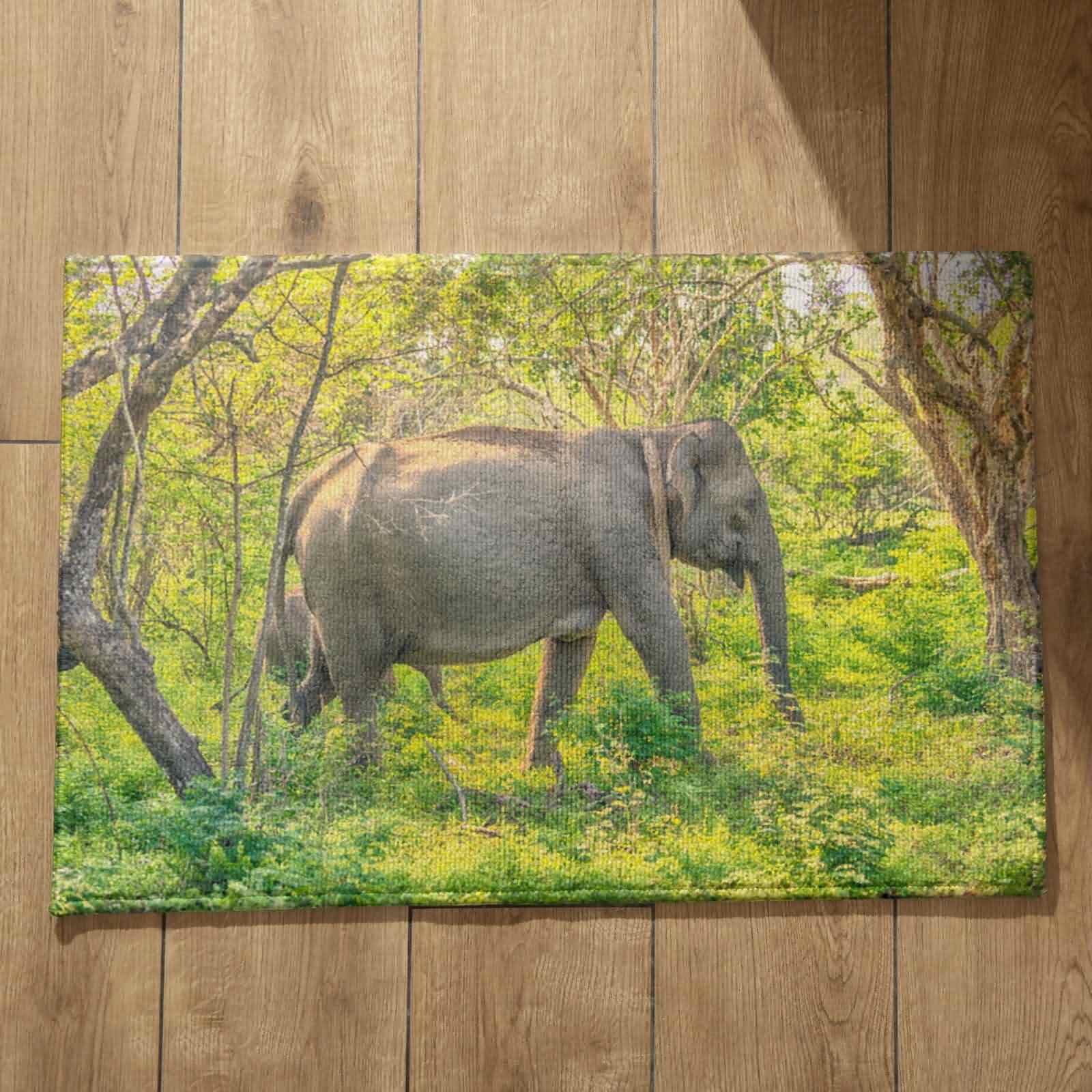 Alfombra para baño absorbente con diseño de elefante y base antideslizante para ducha, 50x80cm