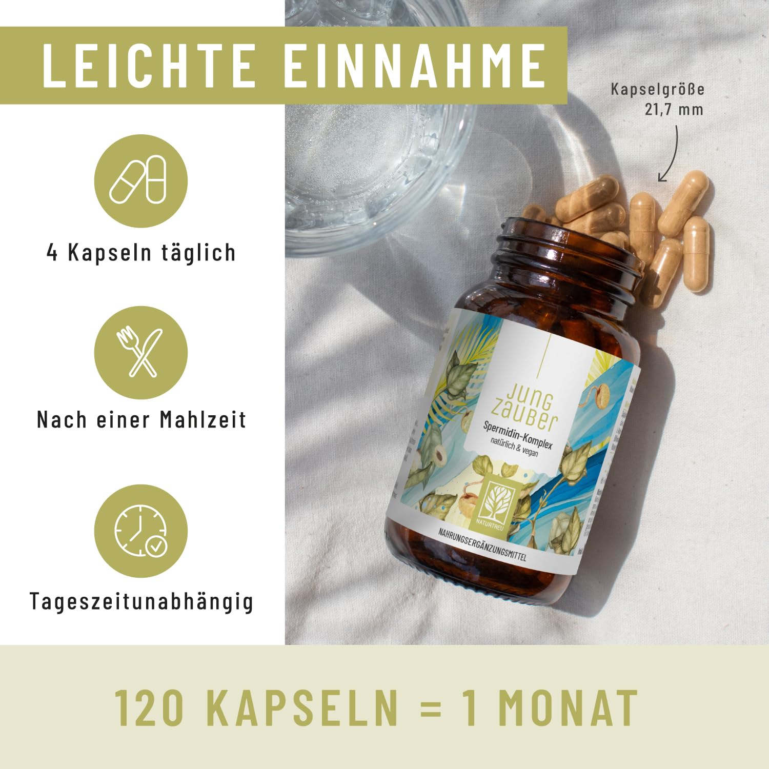 NATURTREU® Spermidin Kapseln hochdosiert mit hochwertigen Spermidin, L-Arginin, Bifidobakterien & Vitamin B6 - vegan - 120 magensaftresistente Kapseln - in Deutschland produziert & laborgeprüft