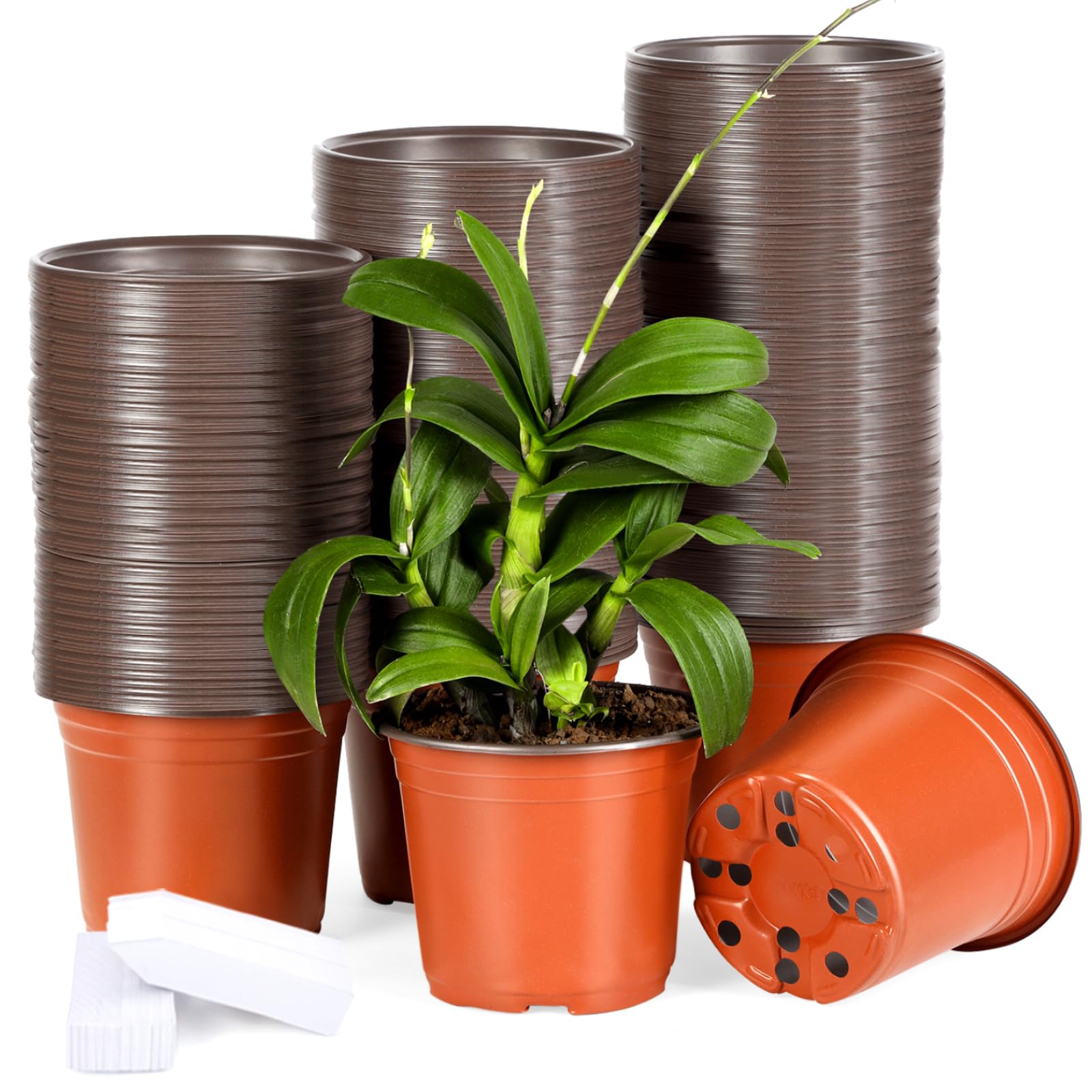 Hemikaki Nursery Pots