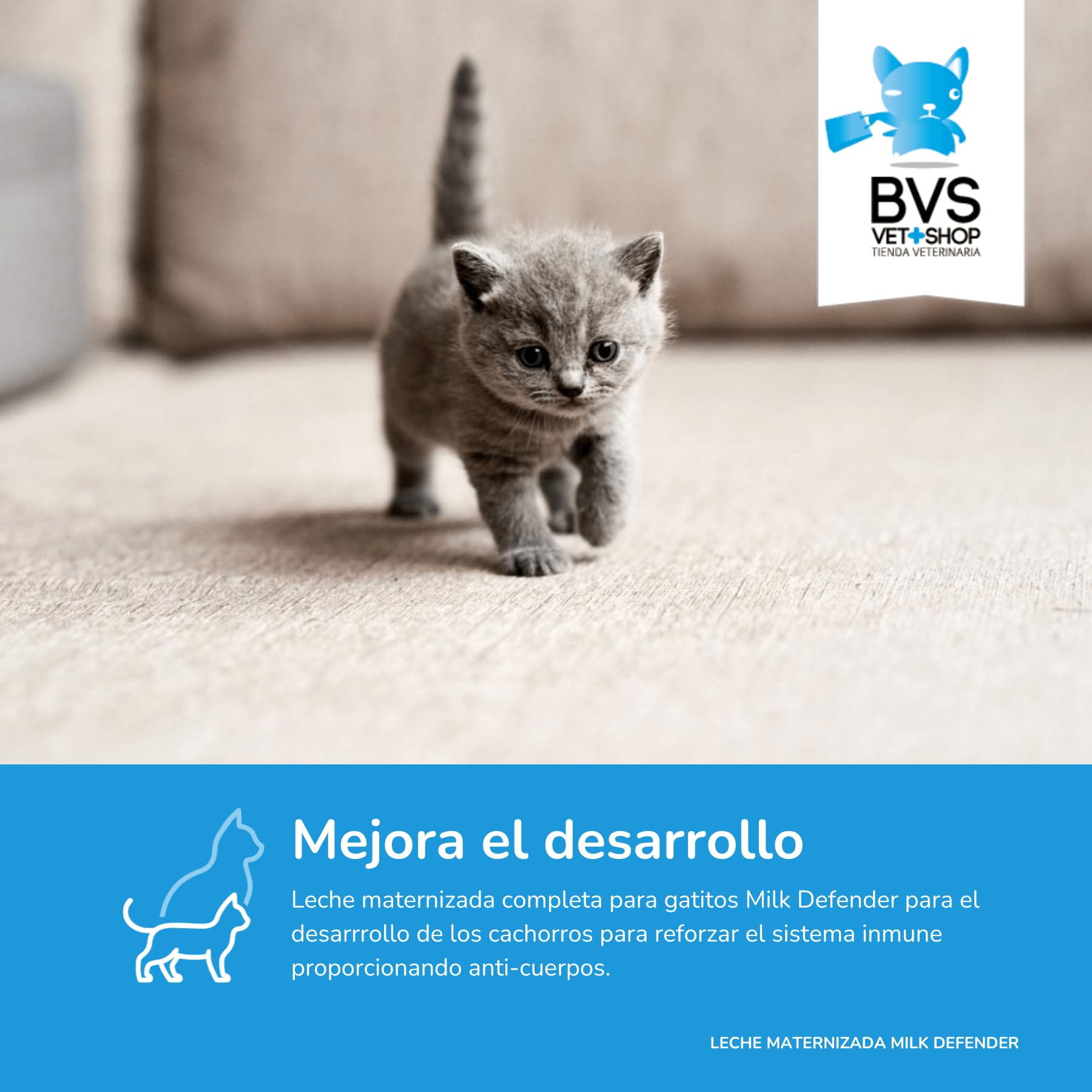 BVS Vet Shop | Leche Maternizada para Gatos Milk Defender | Alimento Completo de Lactancia para el Cuidado Integral de Gatos Cachorros | 1 unid. x 140 gr