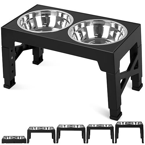 Niubya Elevated Dog Bowls with 2 Stainless Steel Dog Food