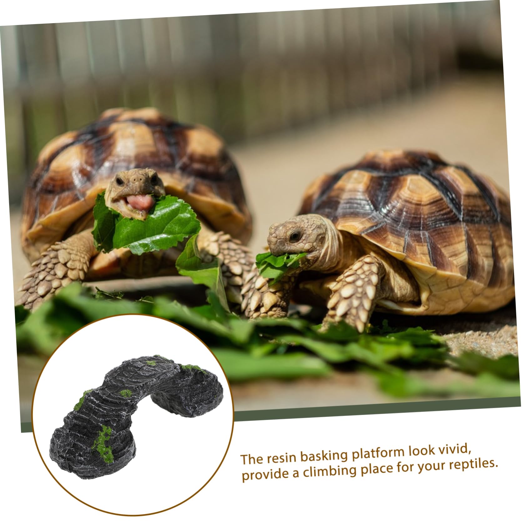 BESPORTBLE Turtle Climbing Platform Sturdy Resin Basking Ramp for Aquatic Turtles Tortoise Habitat Decor
