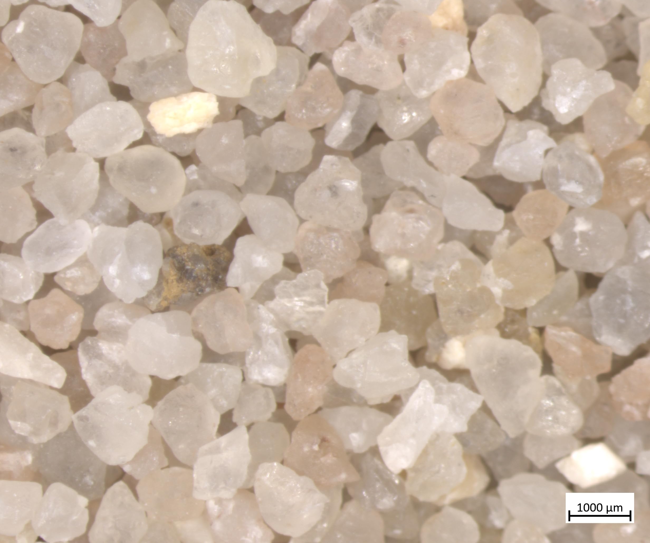 Genérico SilicaSand - Arena de Sílice para Césped Artificial | Sacos Arena 25 kg para Pavimentos Deportivos | Granulometría 0,4-0,8 | 1 Saco de 25 kg