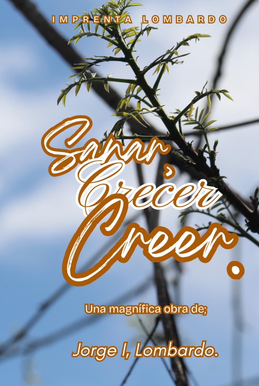 Sanar, Crecer y Creer: para transformar la vida, sanar heridas y vivir con sentido.