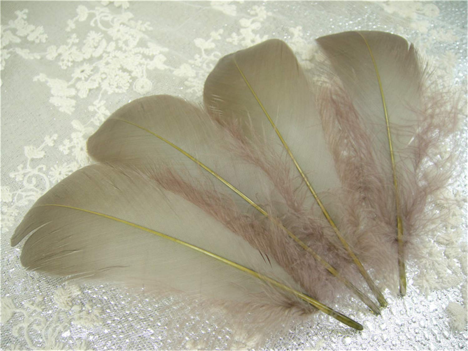 70 Colours Loose Goose Feathers for Millinery Hat Trimming Fascinators Craft Decorating Lamp Shades Costume Trim (Latte #46, 25 Pieces)