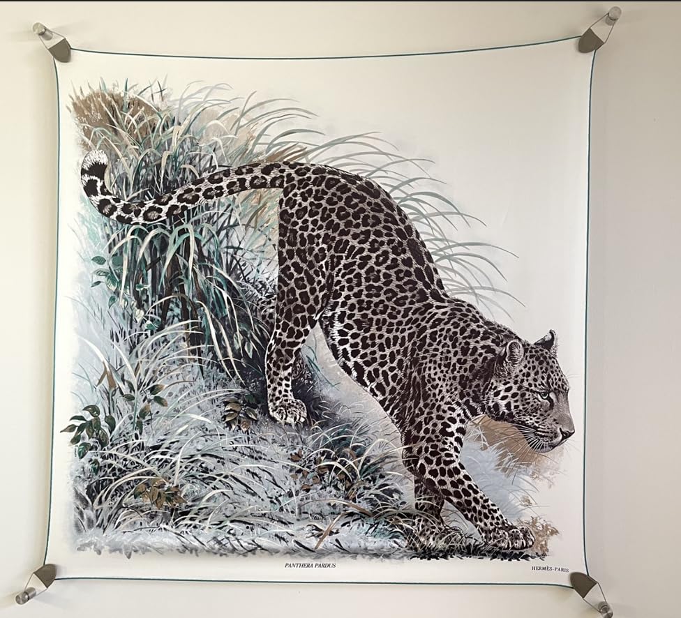 Amazon.co.jp: スカーフとアートワーク ハンギングシステム デラックス