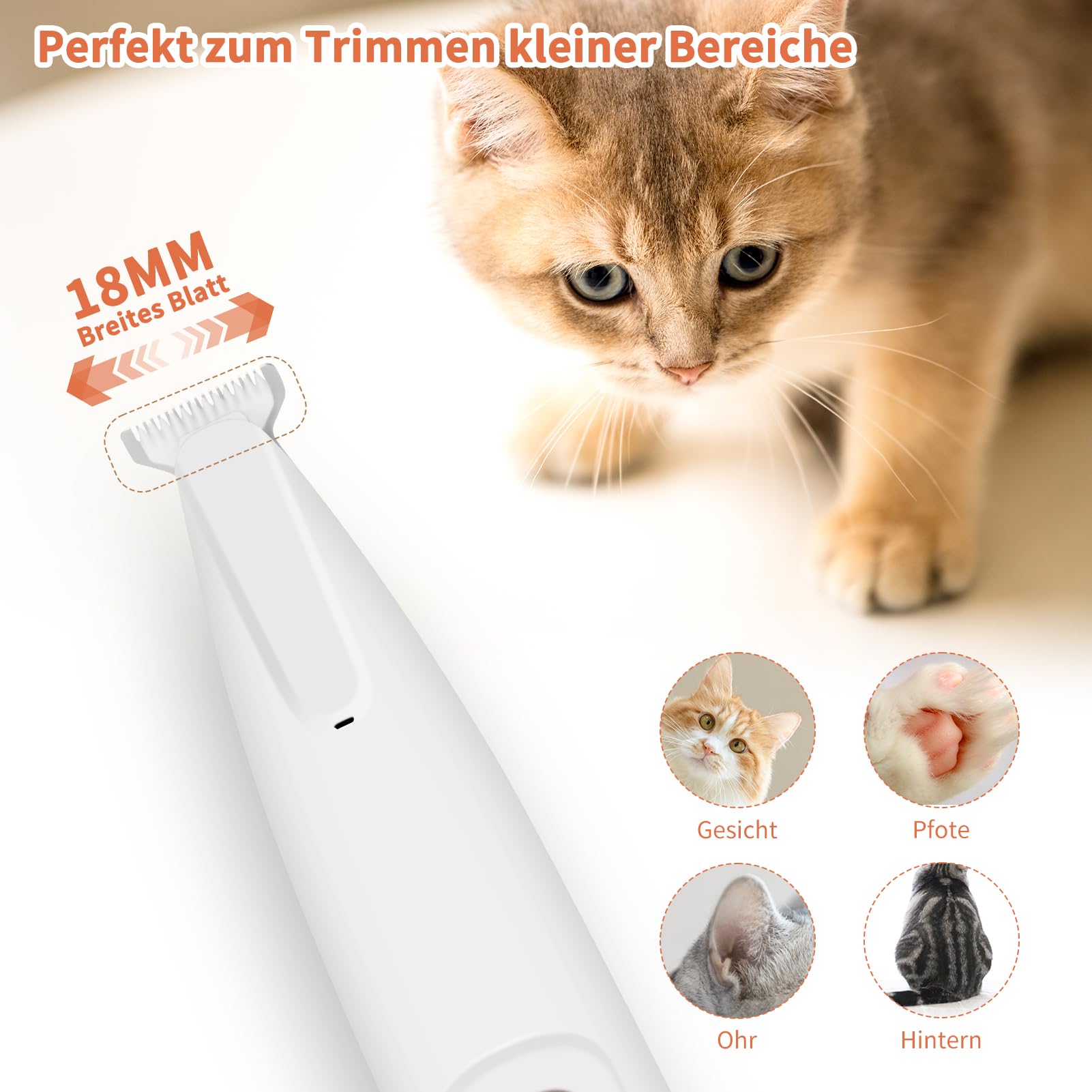 PawTrim Pro Tondeuse à pattes super silencieuse/rechargeable pour animaux de compagnie avec lumière LED, étanche, sans fil, tondeuse professionnelle pour chiens, chats, pattes et yeux