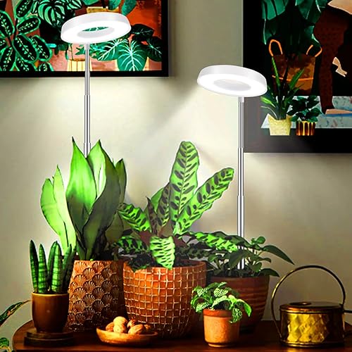 Miniatura 2 de Juhefa Luz de cultivo para plantas de interior, lámpara de plantas de halo de espectro completo de 4000 K para plántulas, suculentas, pequeñas