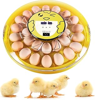 Incubatrice Automatica per 30 Uova con Rotazione Automatica delle Uova, Controllo della Temperatura, Incubatrici per Uova, Uova di Anatra, Uova di Quaglia ecc