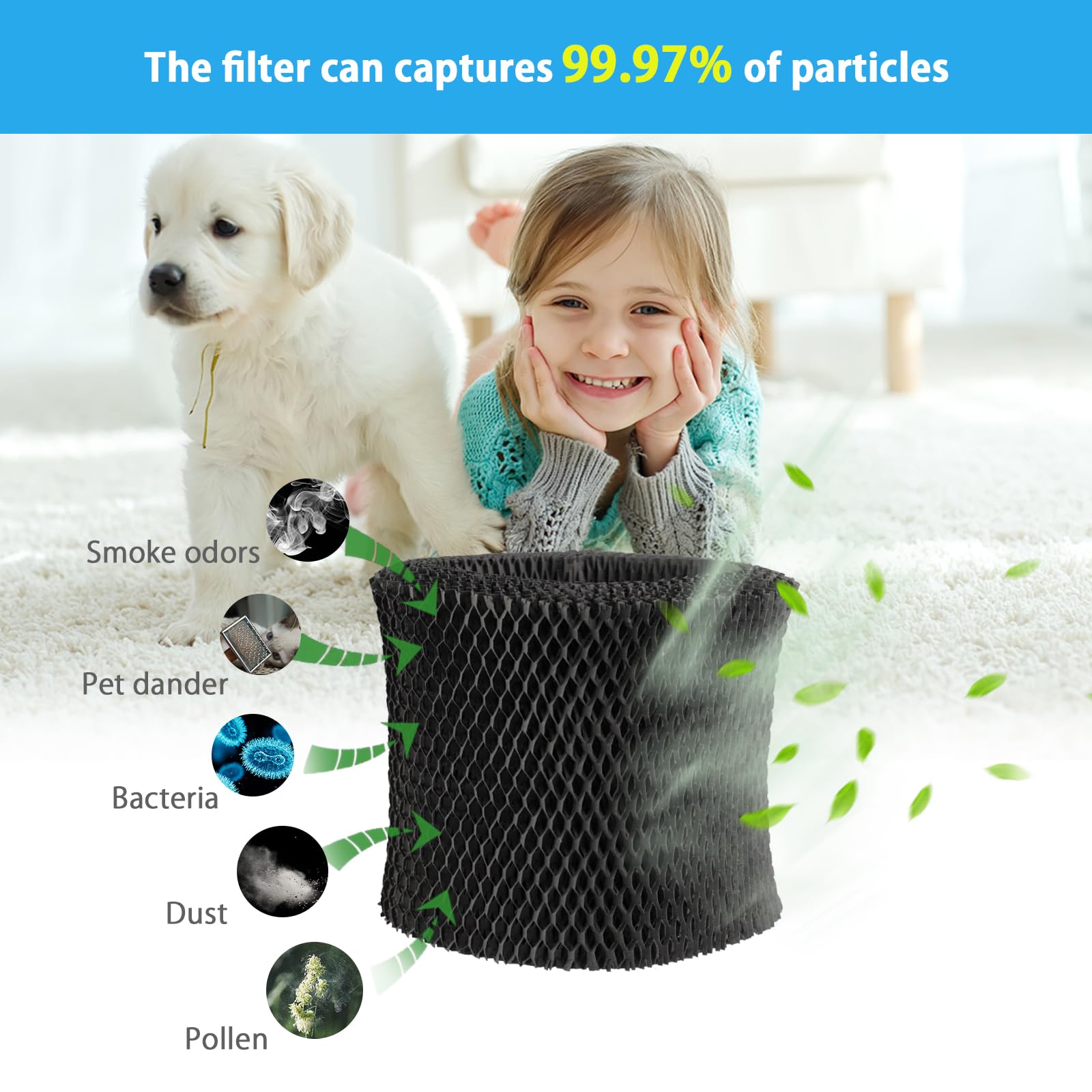 FY2401/30 Filtro umidificatore compatibile con umidificatore Philips Series 2000,HU4814, HU4813, HU4811, HU4803 & HU4801, numero di parte FY2401/30,2 pz
