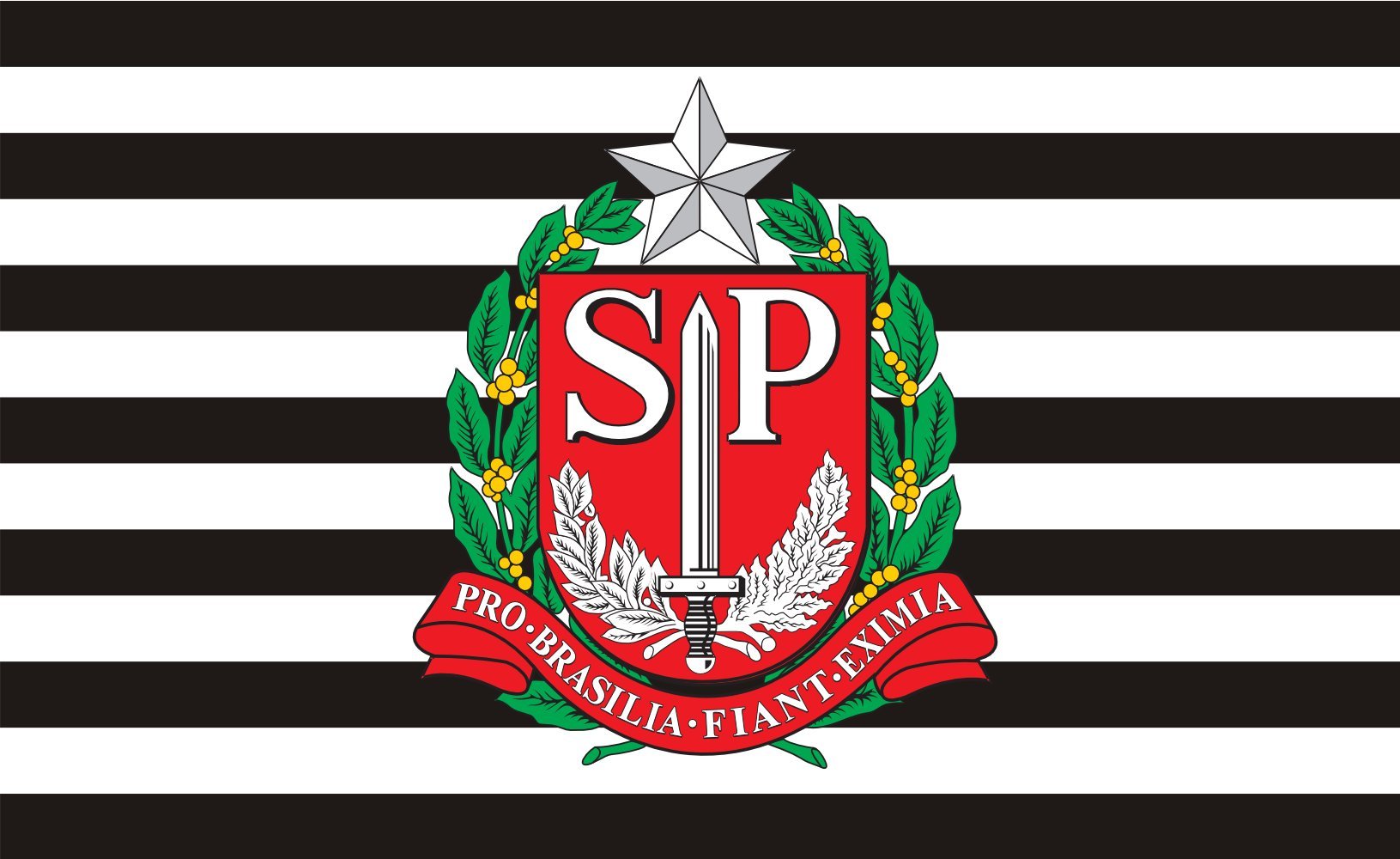 Drapeau São Paulo Governador pour décorer votre salon et espace culturel