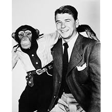 Ronald Reagan 1911-2004 N40Th President Of The United States Reagan With The Chimpanzee Bonzo His Co-Star Of Two Films C1951 Poster Print by 18 x 24