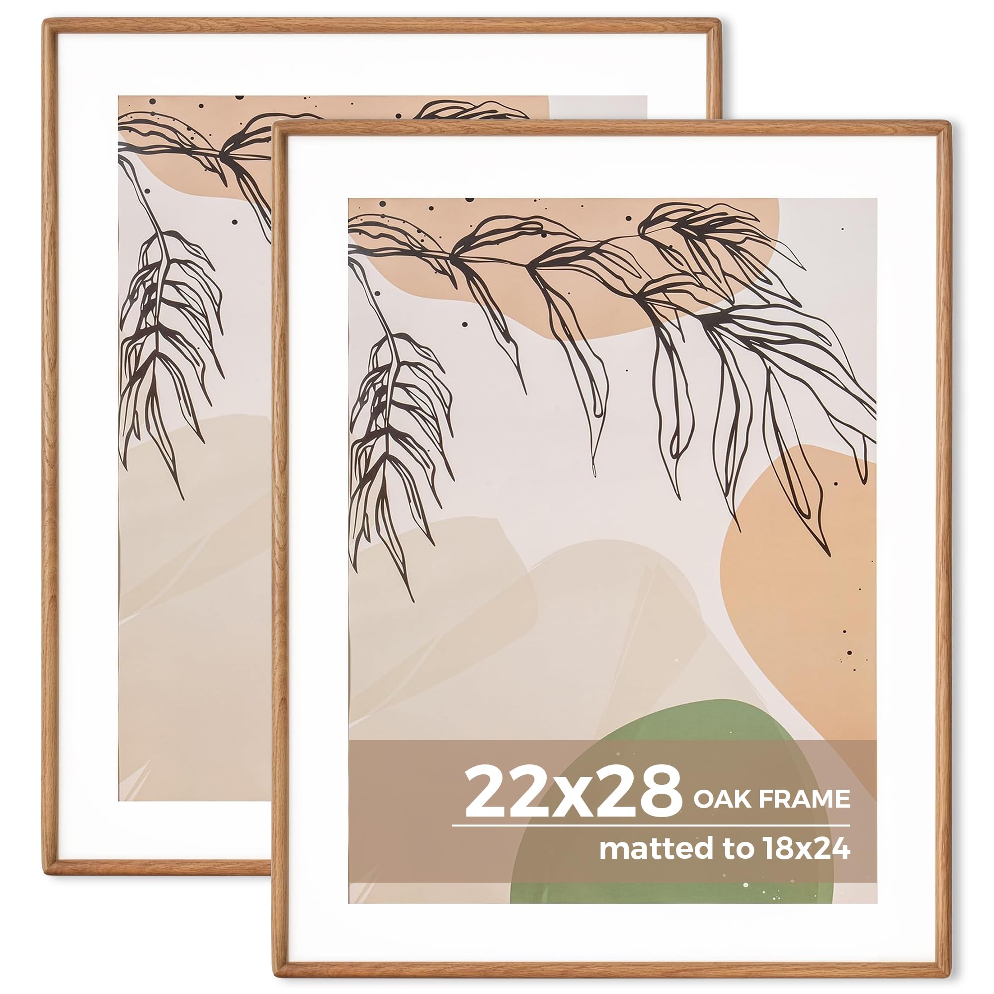 Axeman 22x28 Oak Frame Set of 2 - Rounded Corner 22 x 28 Poster Frame Matted to 18x24 - Natural Oak Wood Picture Frame with Tempered Glass Wall Mount Display