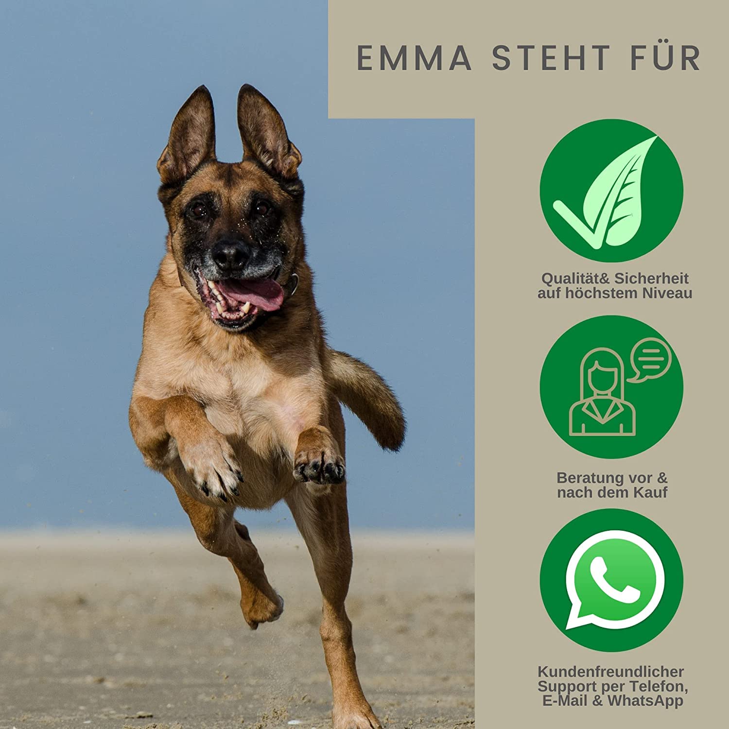 EMMA Silberspray Wundspray Hund Katze Pferd 3×0,1 L Sprühpflaster