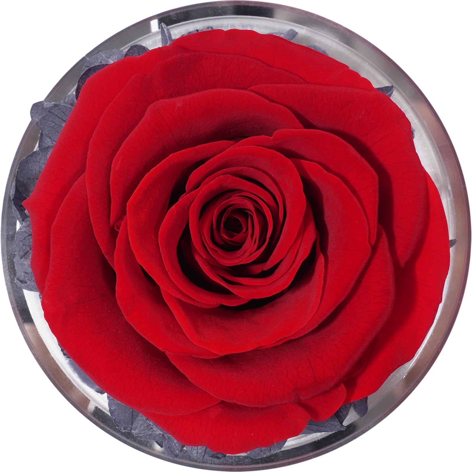 Miofula Regalos Dia de la Madre, Rosa Eterna con Collar Plata de Ley 925,Regalos Originales para Madres, Flores Preservadas Ángel Figura Regalo para Mujer Mama Abuela, Regalo Madre Cumpleaños Navidad