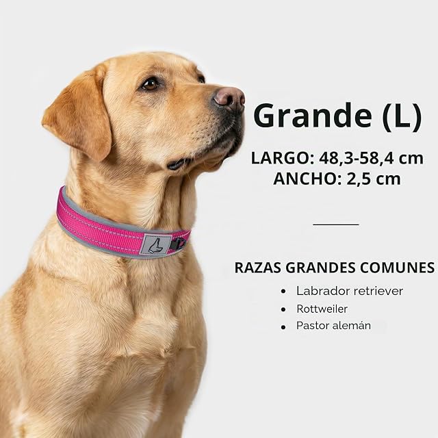 Foto 5 de 7 de Joytale Collar Perro Grande Resistente, Reflectante Ajustable de Acolchado Neopreno Nylon, Fucsia, L