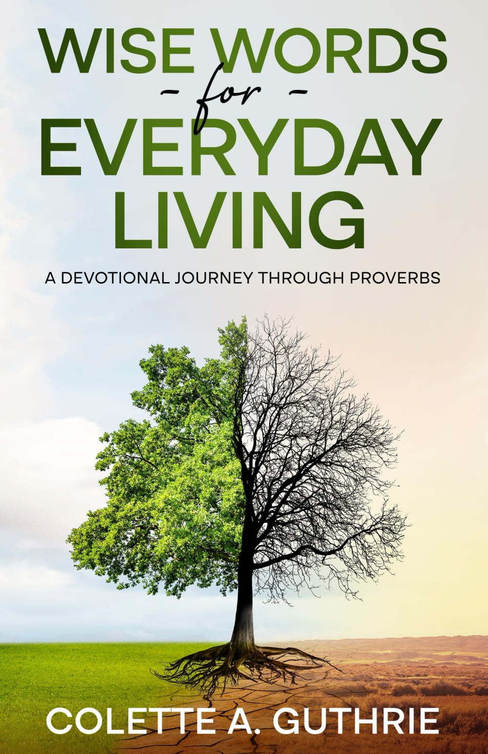 Wise Words for Everyday Living: A Devotional Journey Through Proverbs