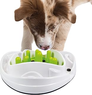 ALL FOR PAWS Interactive Dog Puppy Feeding Bowl with Maze Puzzle Toy - Anti Slip Slow Down Eating product image