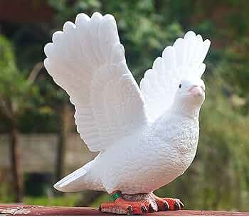 71RvAJGOy-L._AC_UF350,