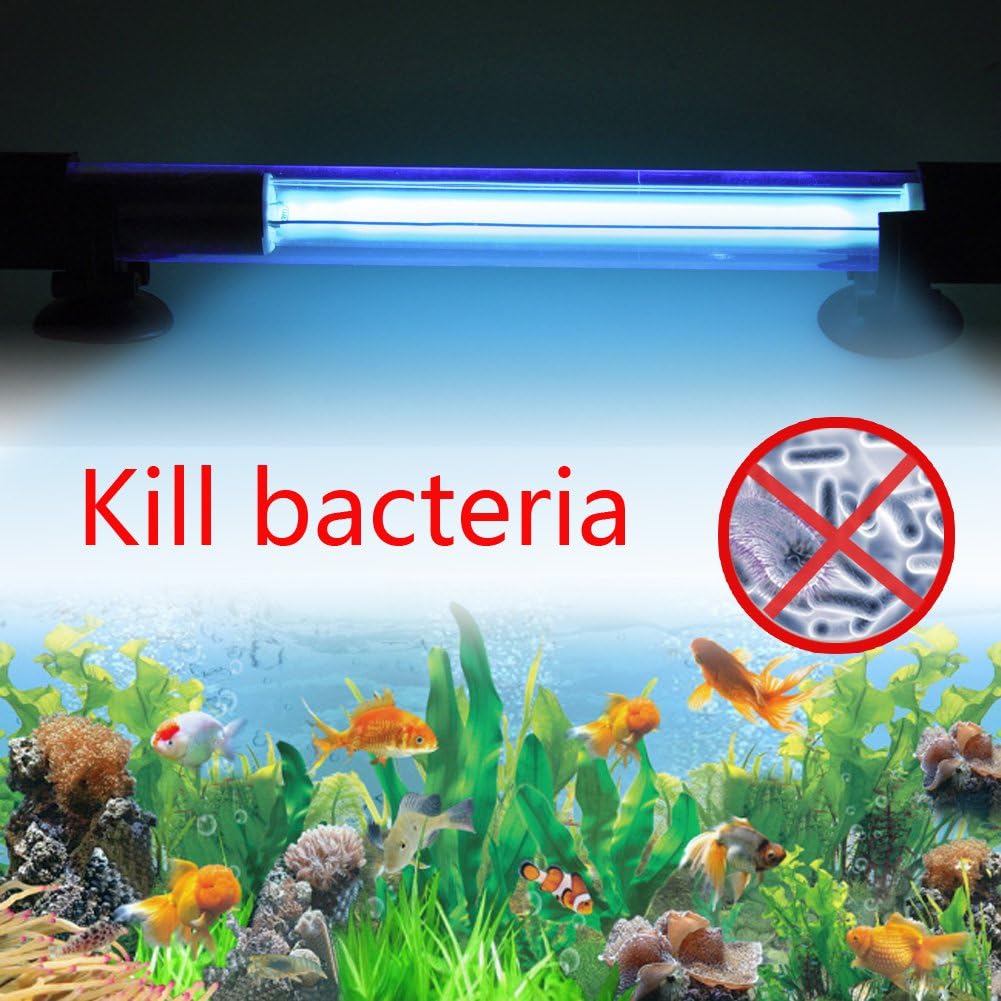 uv aquarium light