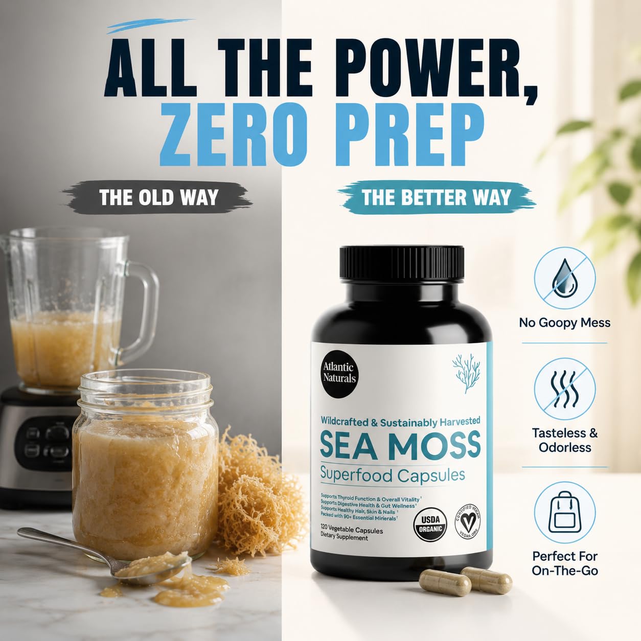 Atlantic Naturals Irish Sea Moss Capsules 1000mg - Organic Wildcrafted Seamoss Supplement, 120 Vegan Pills for Women & Men - Immune, Energy & Skin Support, 2-Month Supply — Amazon image 4