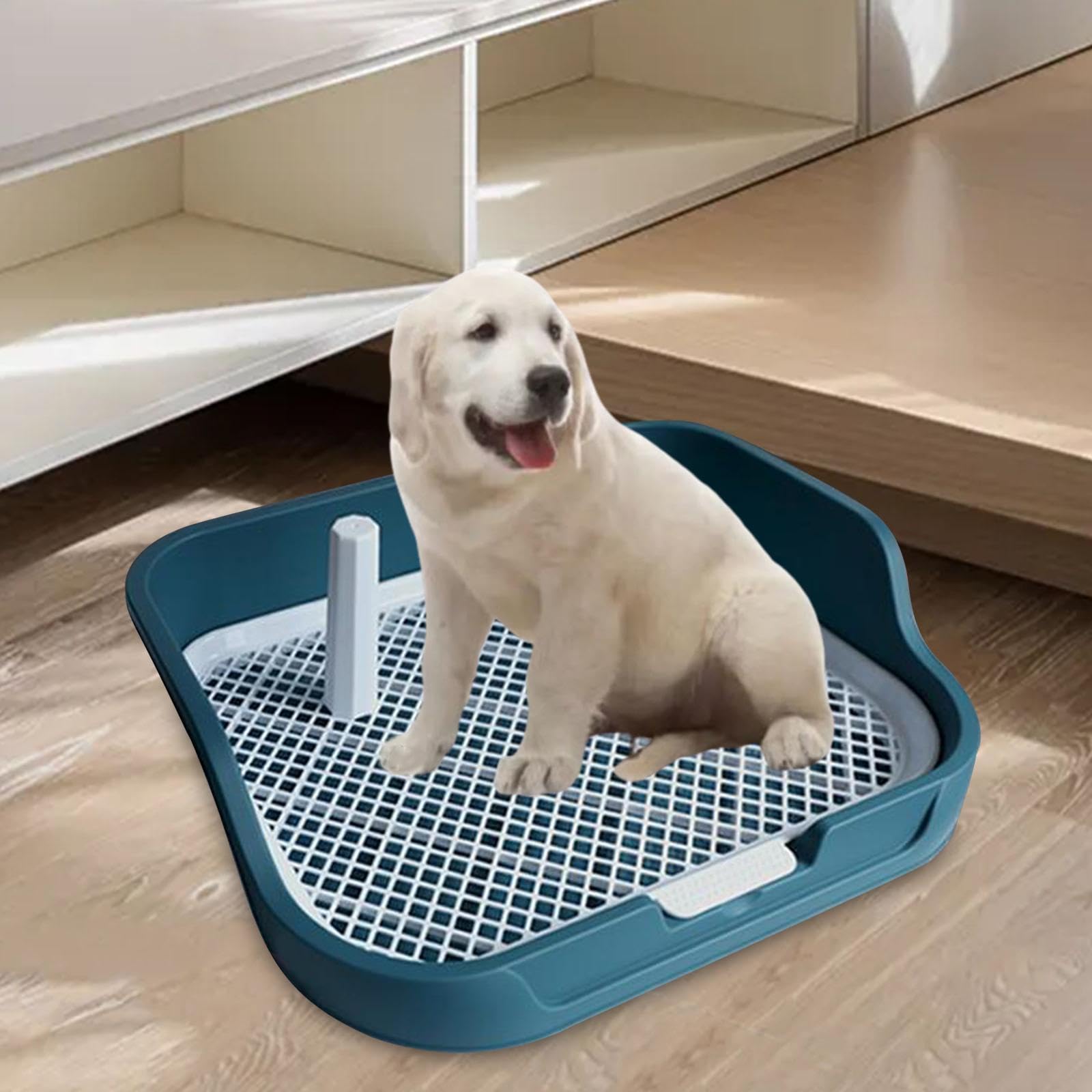Hundetoilette Katzentoilette Welpentrainingsunterlage Gitter Abnehmbarer Pfosten Spritzschutz rutschfest für Badezimmer Hundespielplatz Wohnung, Blau