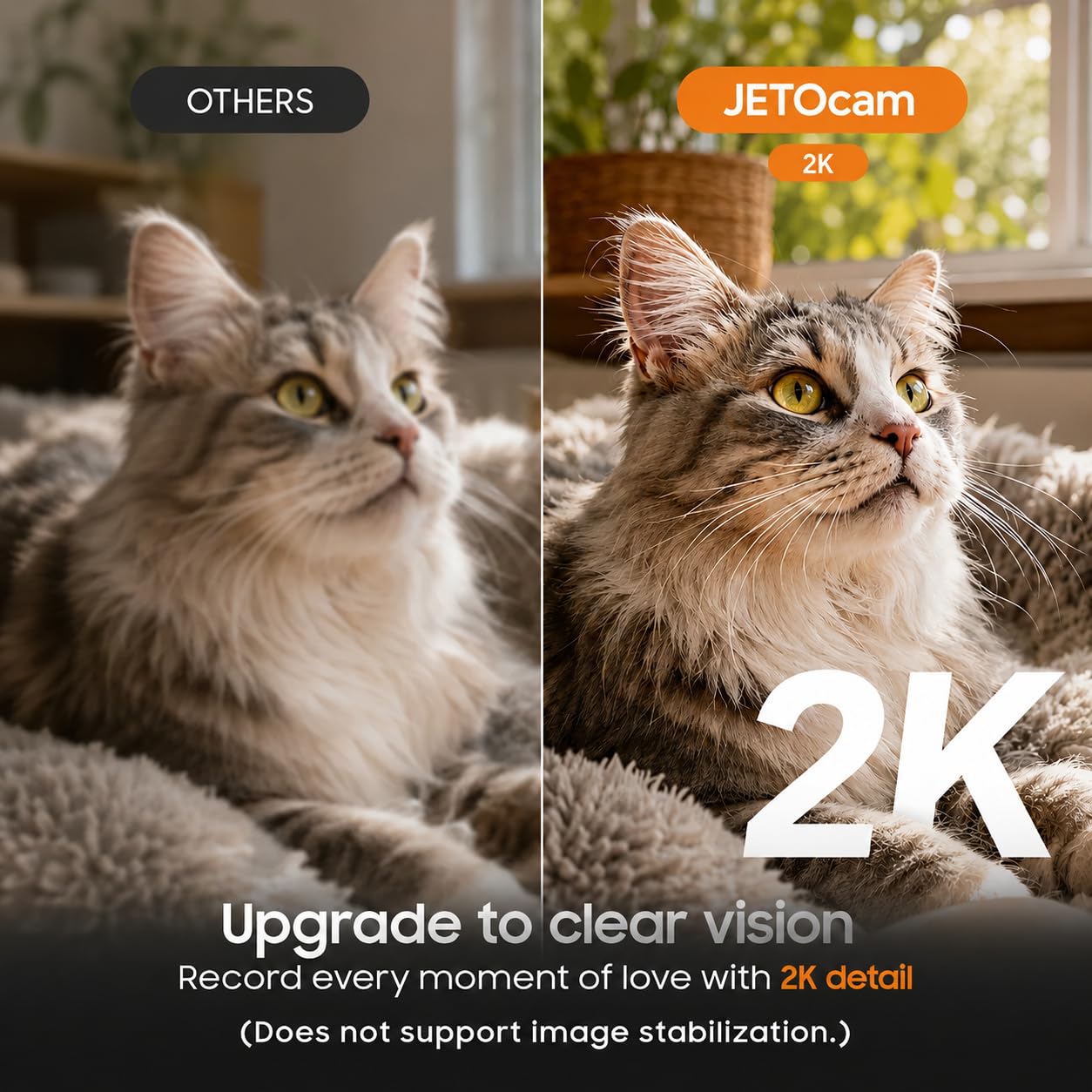 JETO Cat Collar Camera, 1080P Pet POV Cam with App, 32GB, Gray
