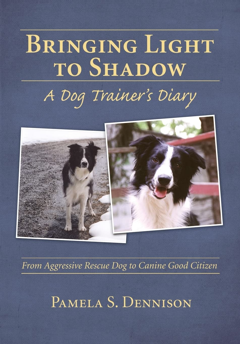 Buy Bringing Light to Shadow: A Dog Trainer's Diary — BookShops.in