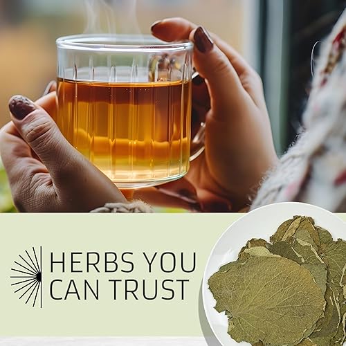 Miniatura 6 de Evergreen Herbs Hoja Santa Herb 2 oz. Yerba santa, anisillo, pimiento con orejas, planta de cerveza de raíz, pimienta sagrada, Acuyo – Bolsa de pie