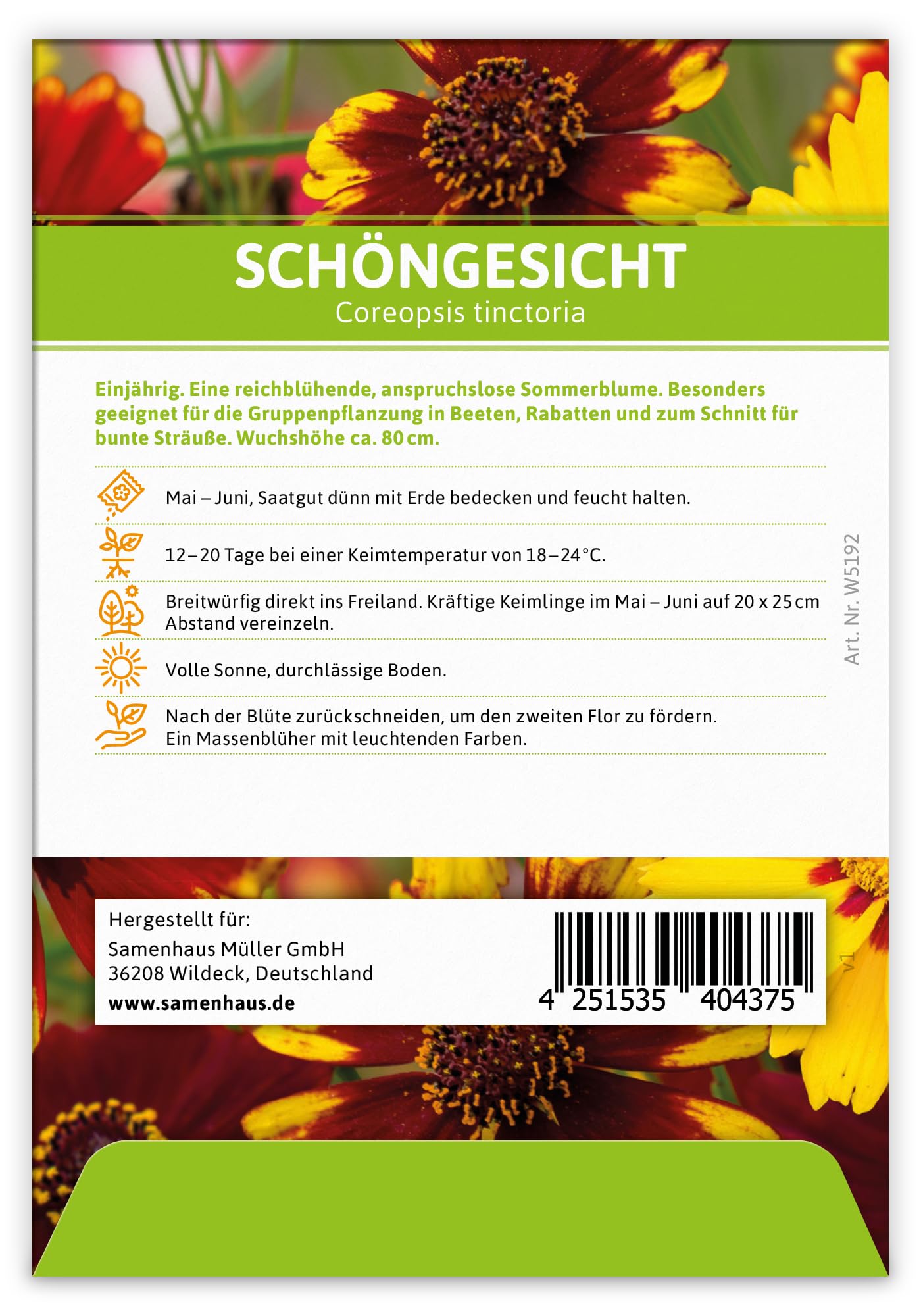 FLORTUS Mädchenauge als Gastgeschenke (100 Stück) | Blumensamen als Dankeschön Geschenke, Mitgebsel & Werbegeschenke | Schöngesicht Blumen