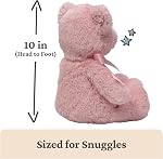 Bébé GUND Mon premier ours en peluche, Ultra Jouet en peluche pour animaux doux pour bébés et nouveau-nés, rose, 10”
