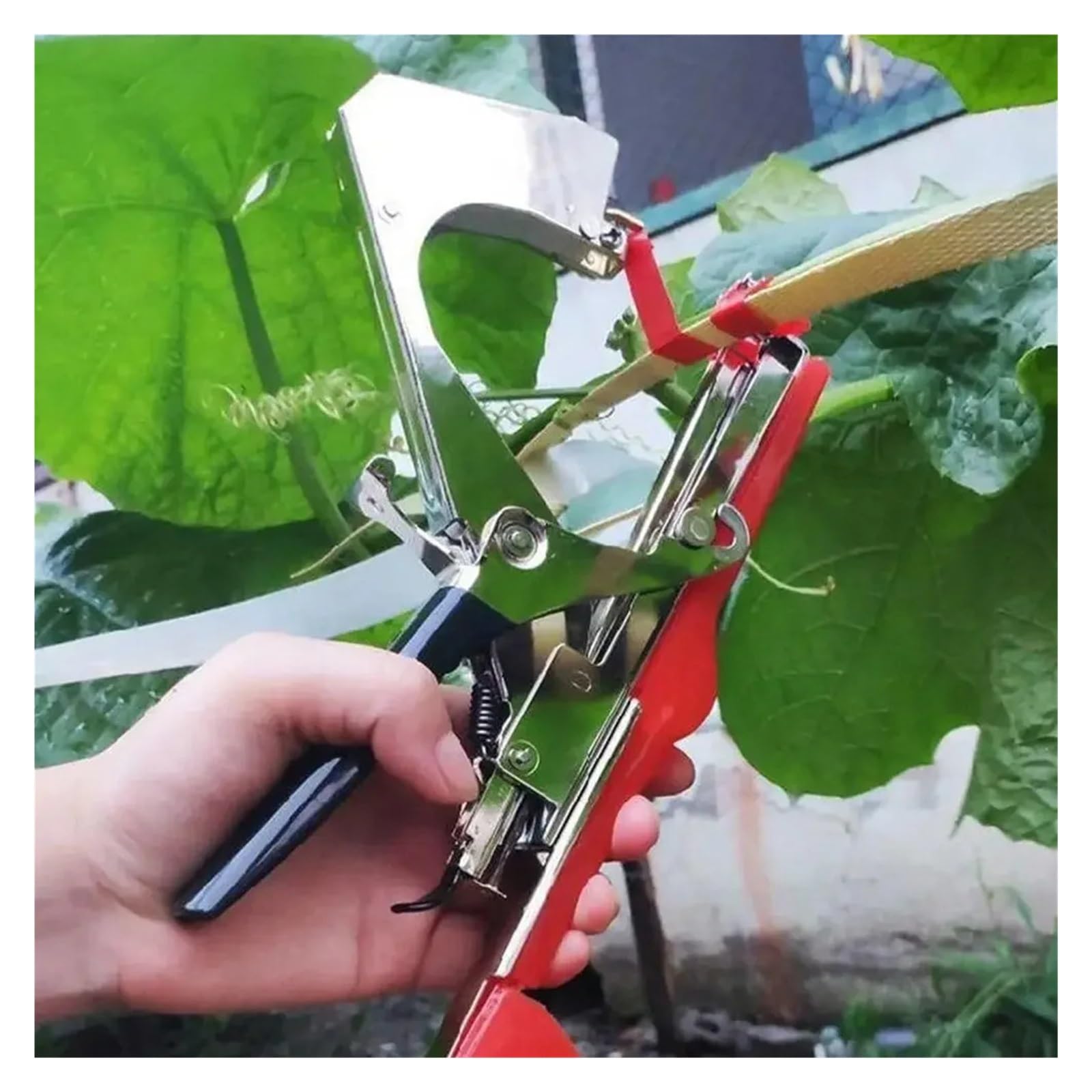 Máquina de encuadernación Manual con 6 Rollos Cintas + 1 Caja Grapas for Atar Ramas, Grapadora Vid UVA, Compatible pimientos y Verduras(1 Set)