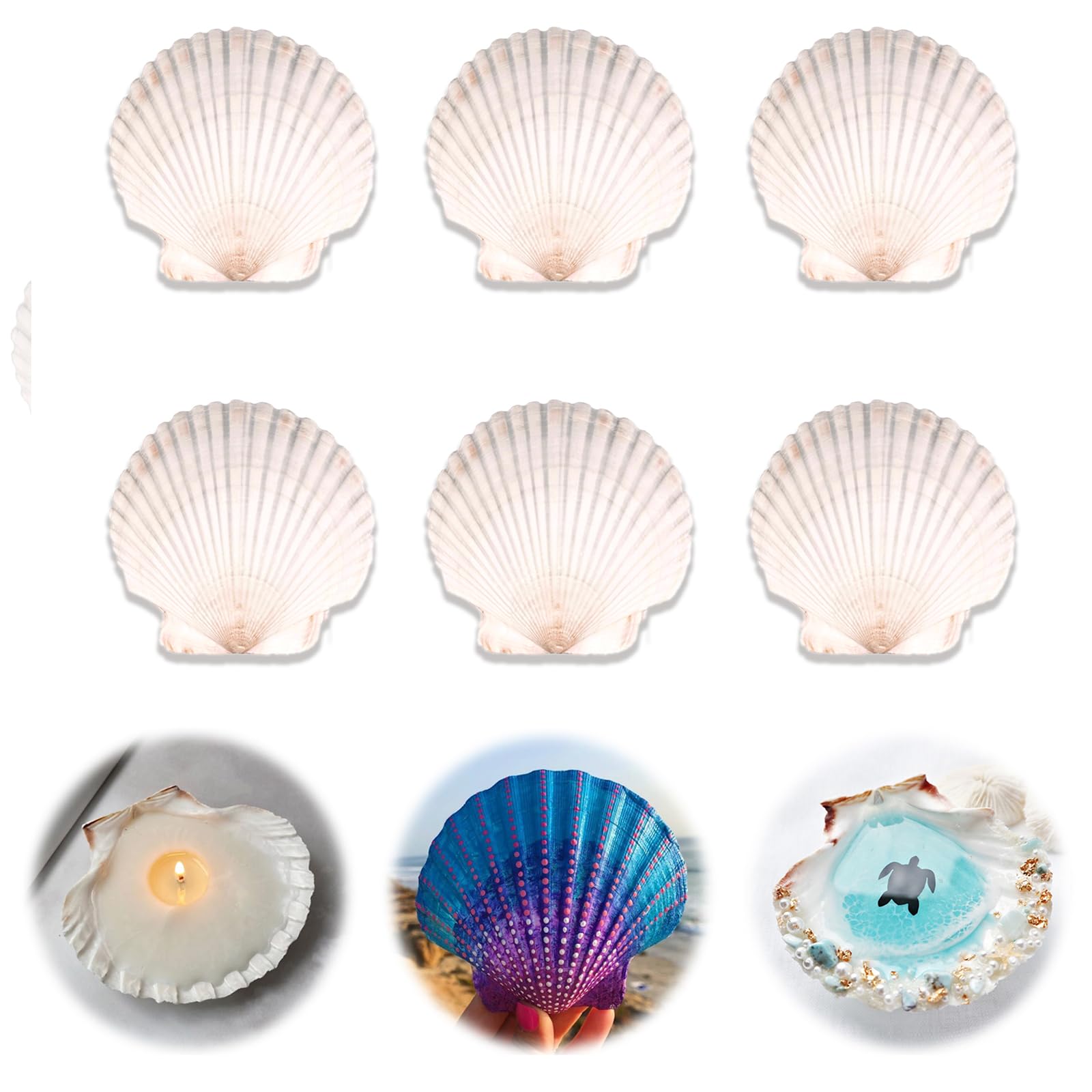 6 conchas de vieira para manualidades de 4 a 5 pulgadas, conchas blancas grandes naturales para decoración de manualidades, pintura del hogar, hornear y playa, decoración de fiesta de boda